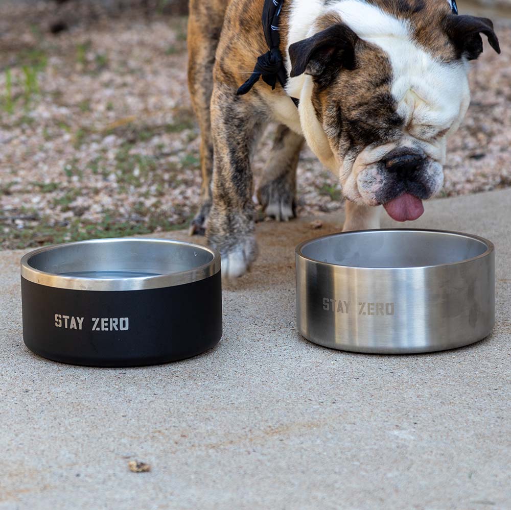 Dog Bowl