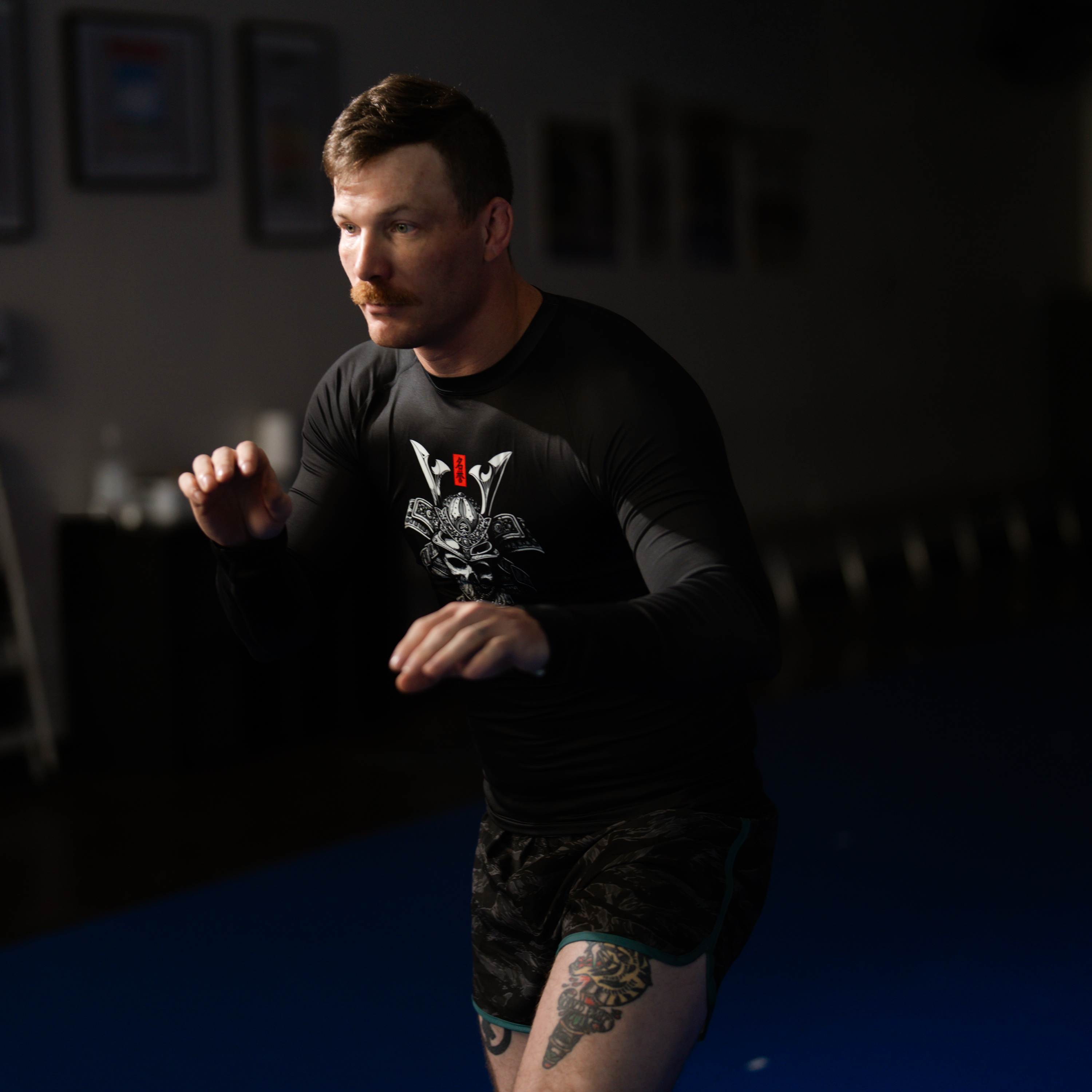 ZF Fight Shorts 8 ZF Fight Shorts