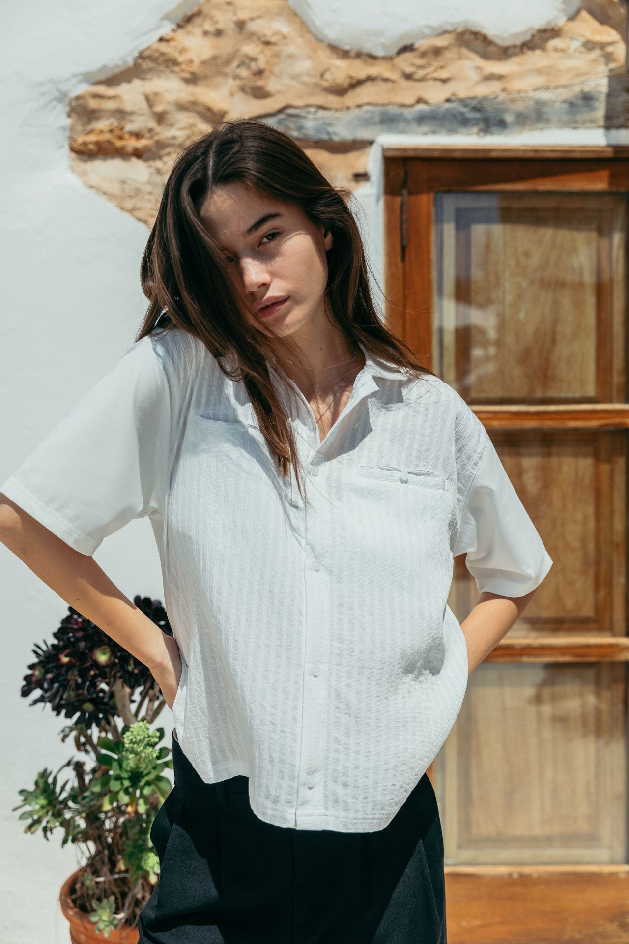 Leonardo Holiday Shirt 10 Leonardo Holiday Shirt