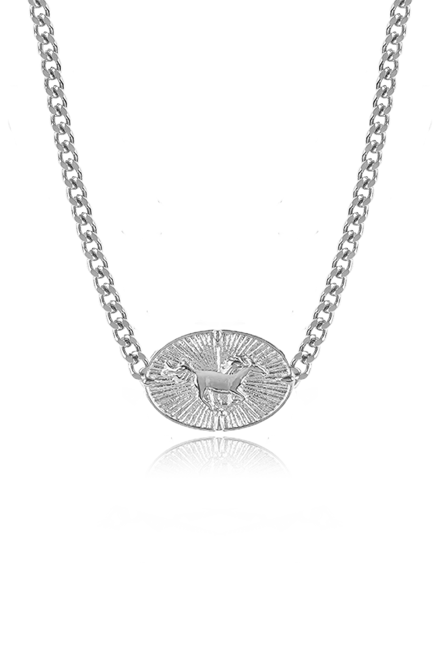 Bronco Necklace, Silver